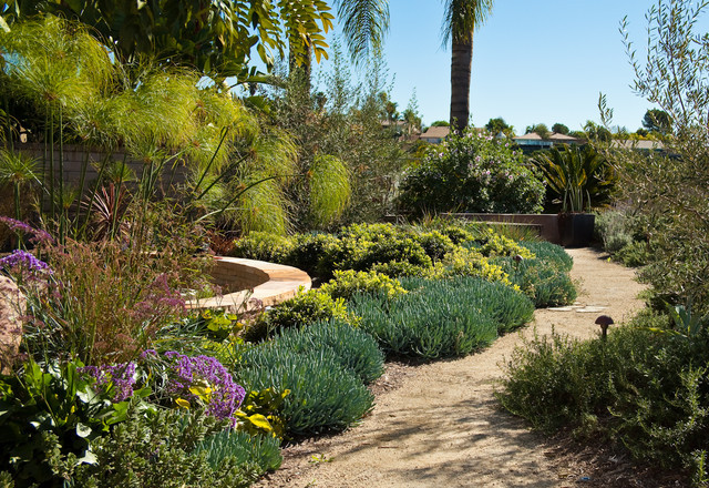 Drought Tolerant Plants Landscape Design
 San Diego Drought Tolerant Landscape