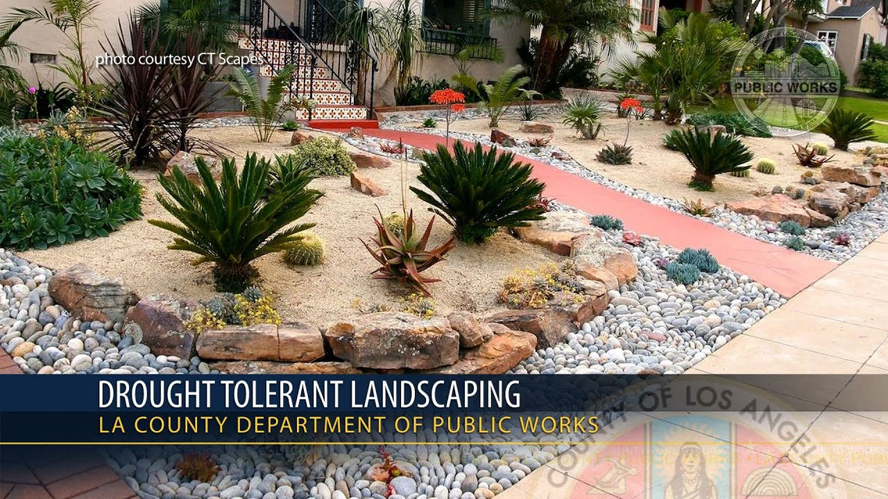 Drought Tolerant Plants Landscape Design
 PSA Drought Tolerant Landscaping