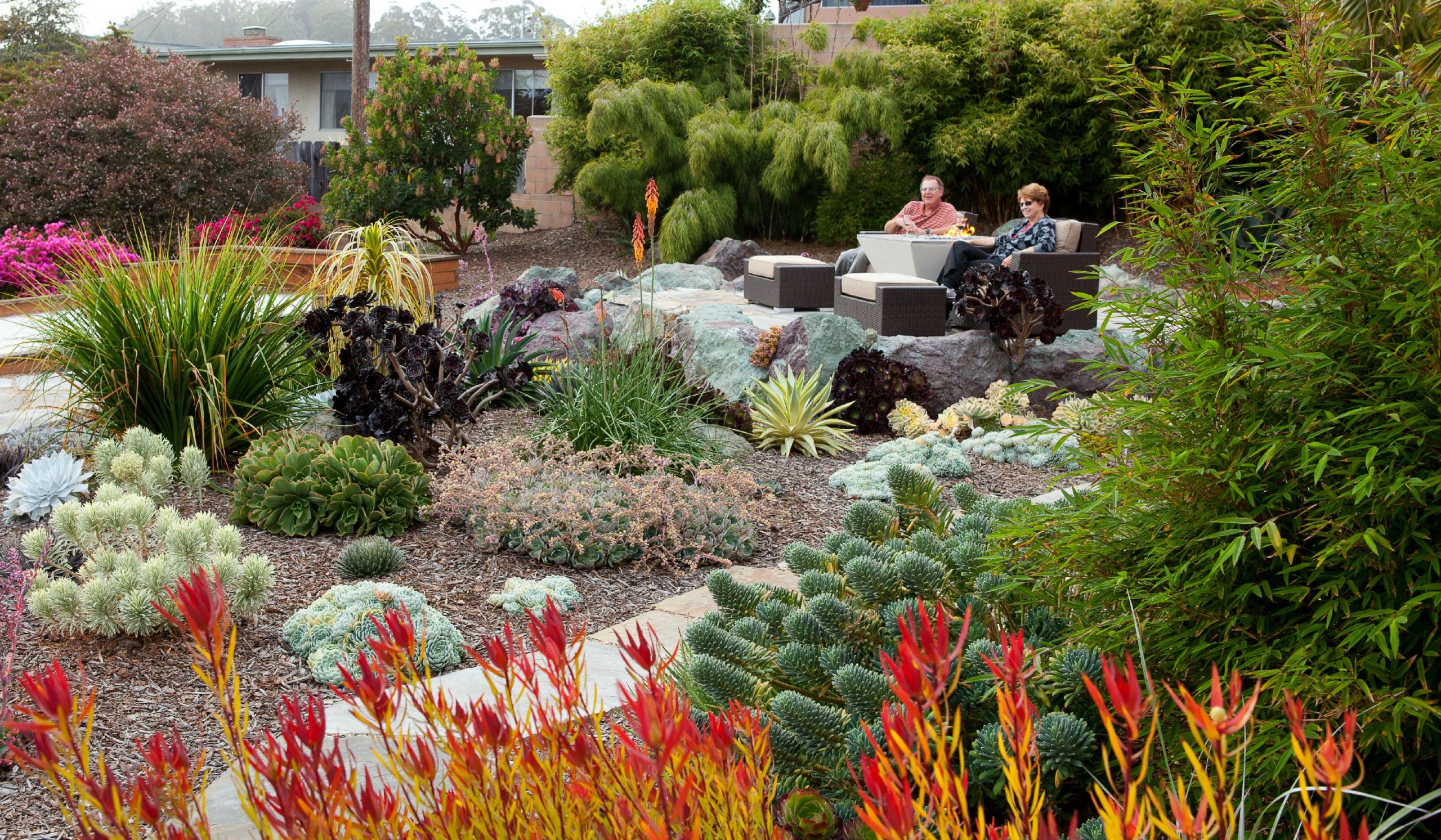 Drought Tolerant Plants Landscape Design
 drought tolerant