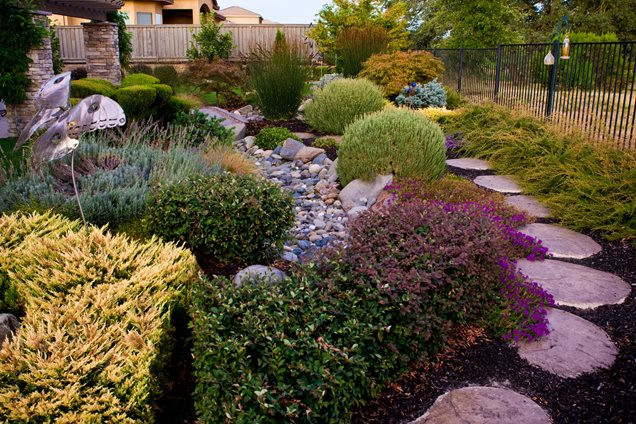 Drought Tolerant Plants Landscape Design
 Garden Design Rocklin CA Gallery Landscaping