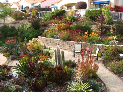 Drought Tolerant Plants Landscape Design
 THIS DROUGHT IS FOR REAL …Beautiful and Water wise