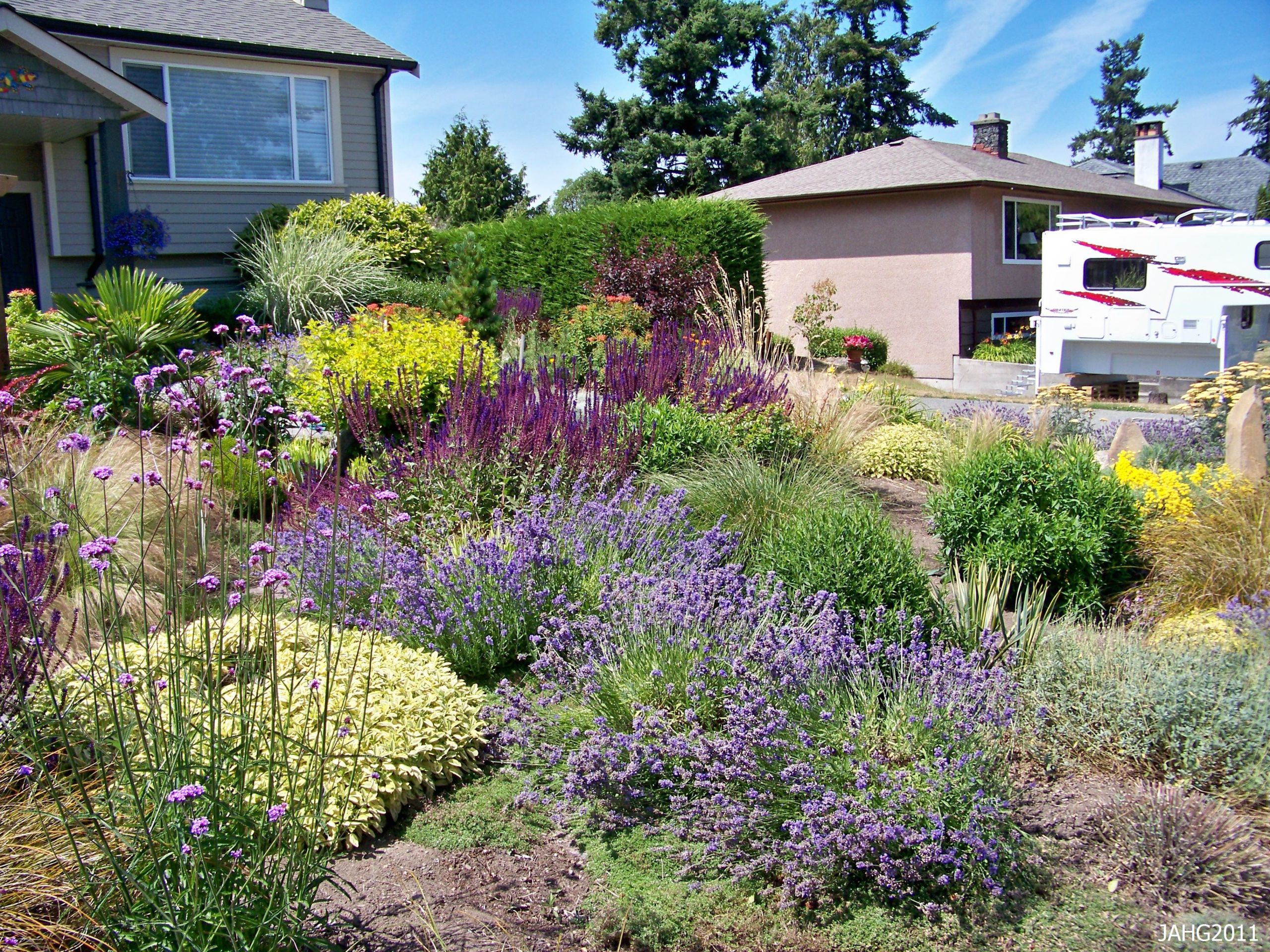 Drought Tolerant Plants Landscape Design
 Drought Tolerant