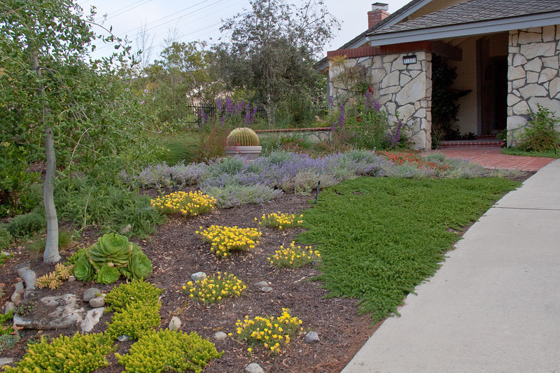 Drought Tolerant Plants Landscape Design
 Drought Tolerant Landscape Design Gallery