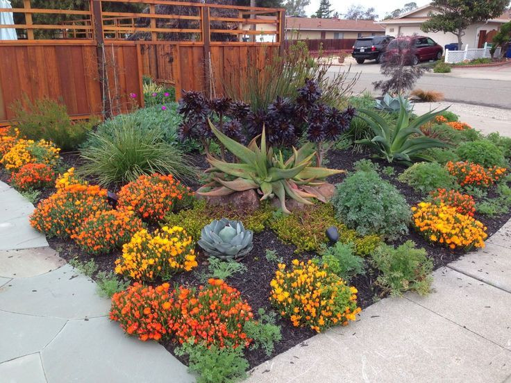 Drought Tolerant Plants Landscape Design
 Save Water with Stunning Drought Resistant Landscaping