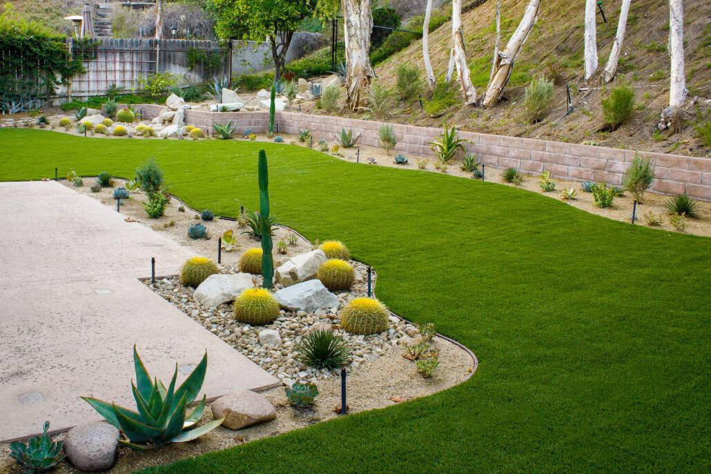 Drought Tolerant Plants Landscape Design
 Los Angeles & Southern California Drought Tolerant Landscape