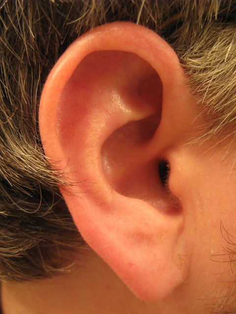 Earring In Right Ear
 e5b9b4587d z zz=1
