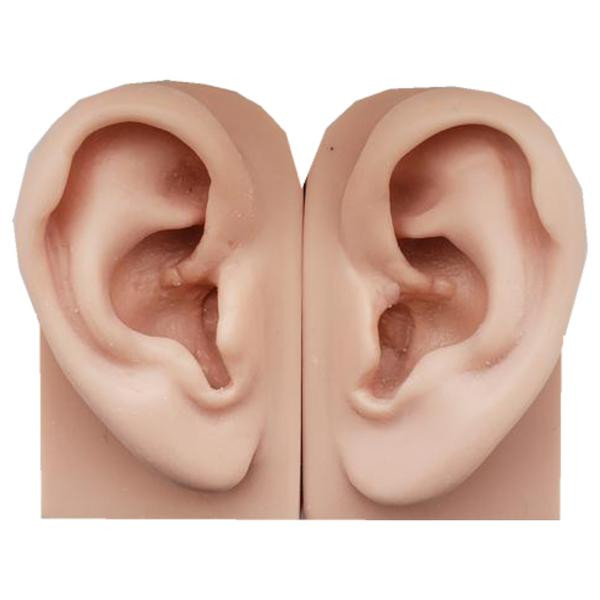 Earring In Right Ear
 Ear Display Model Left Right or Pair – Beauty Mark