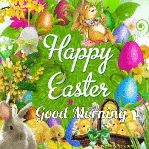 Easter Bunny Ideas For Easter Morning
 Happy Easter Good Morning s and for