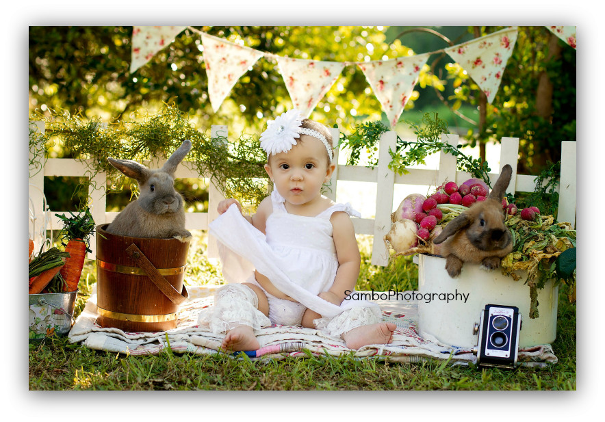 Easter Mini Session Ideas
 cute setup with the real bunnies if they are