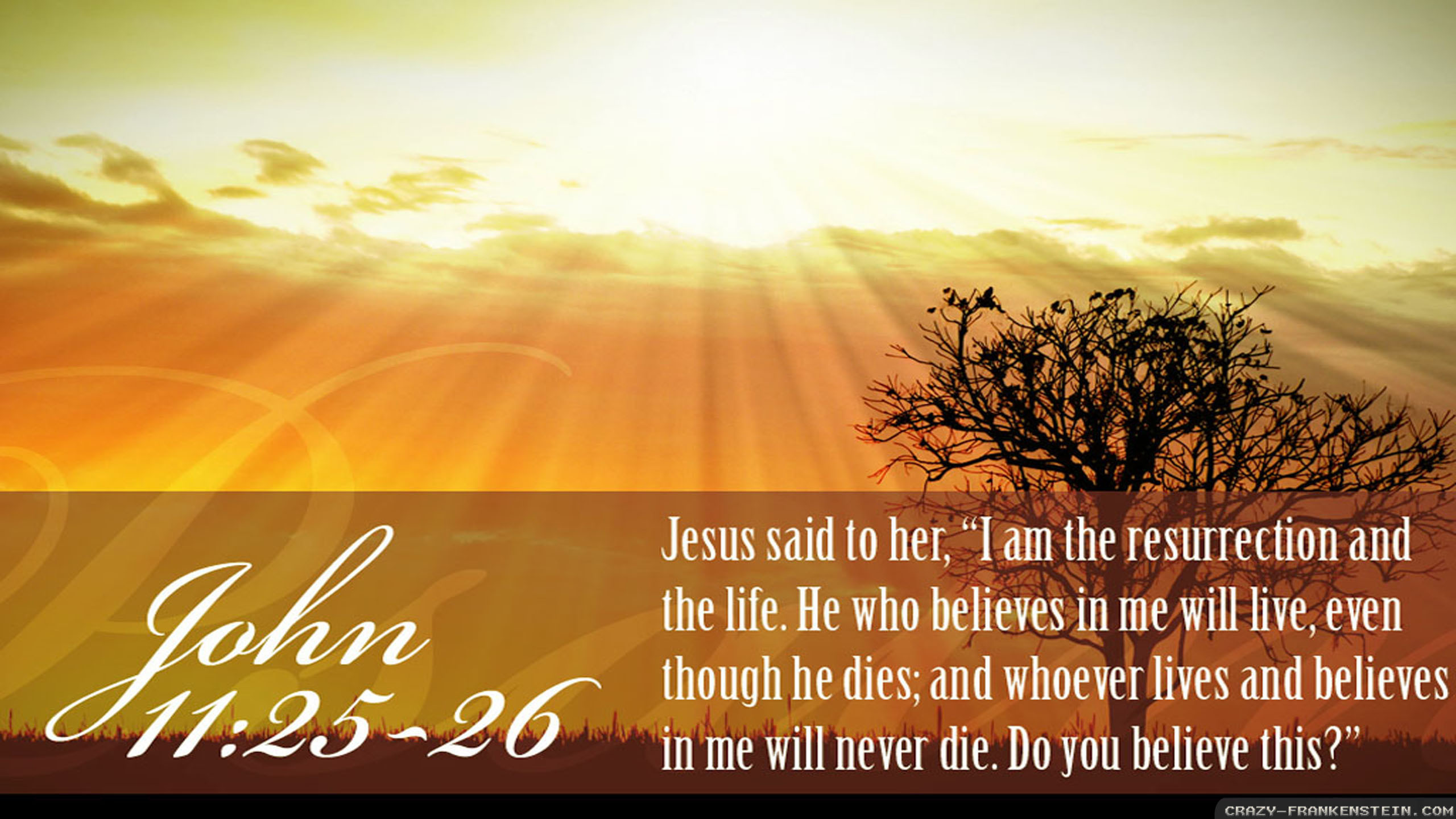 Easter Resurrection Quotes
 jesus christ