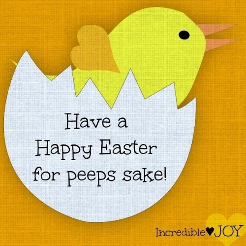 Easter Sayings And Quotes
 Pinterest Funny Easter Quotes QuotesGram