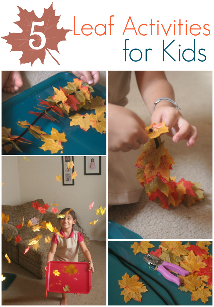 Easy Activities For Kids
 5 Simple Leaf Activities for Kids