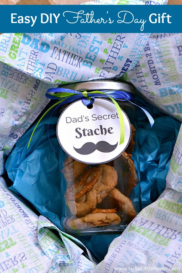 Easy Diy Mother'S Day Gift Ideas
 Easy DIY Father s Day Gift Idea Dad s Secret Stache