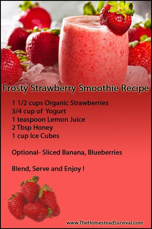 Easy Strawberry Smoothie Recipes
 Frosty Strawberry Smoothie Recipe The Homestead Survival