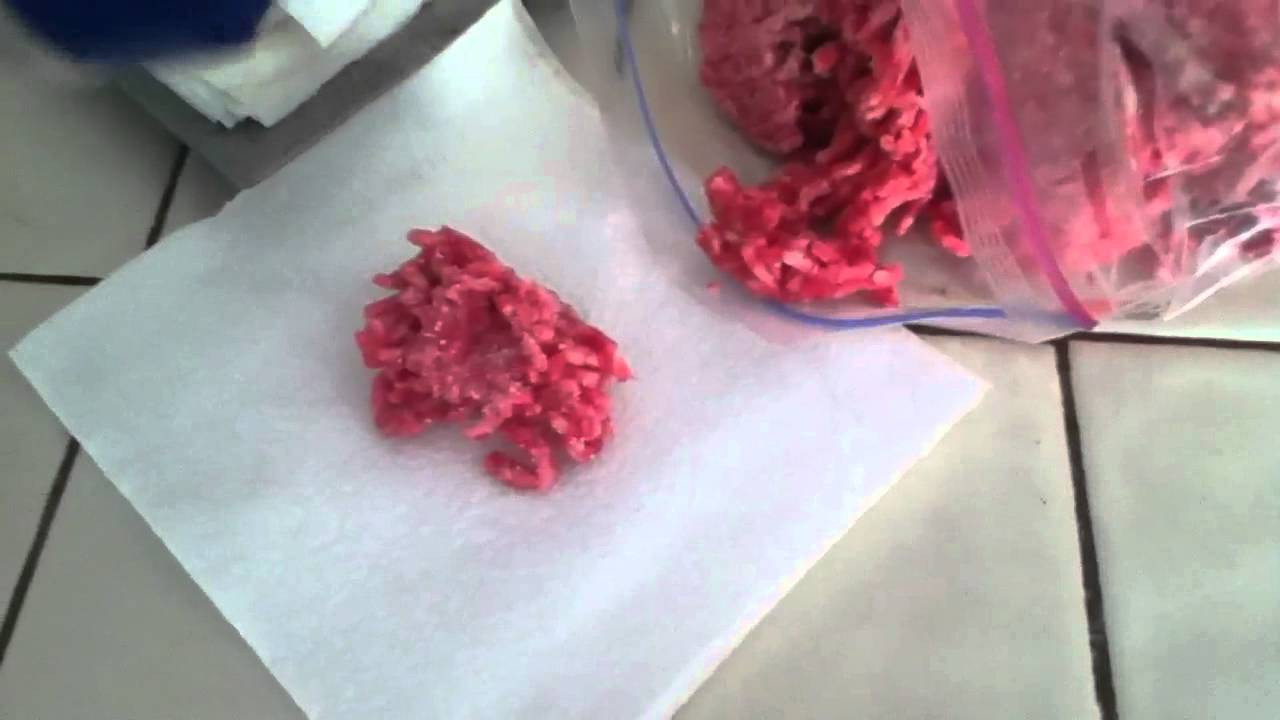 Eat Raw Ground Beef
 Eating raw ground beef