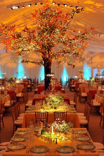 Fall Wedding Decorating Ideas
 Autumn Colour Scheme Orange