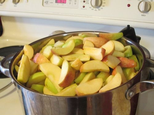 Fiber In Applesauce
 Easy applesauce leave the peels on they disappear d