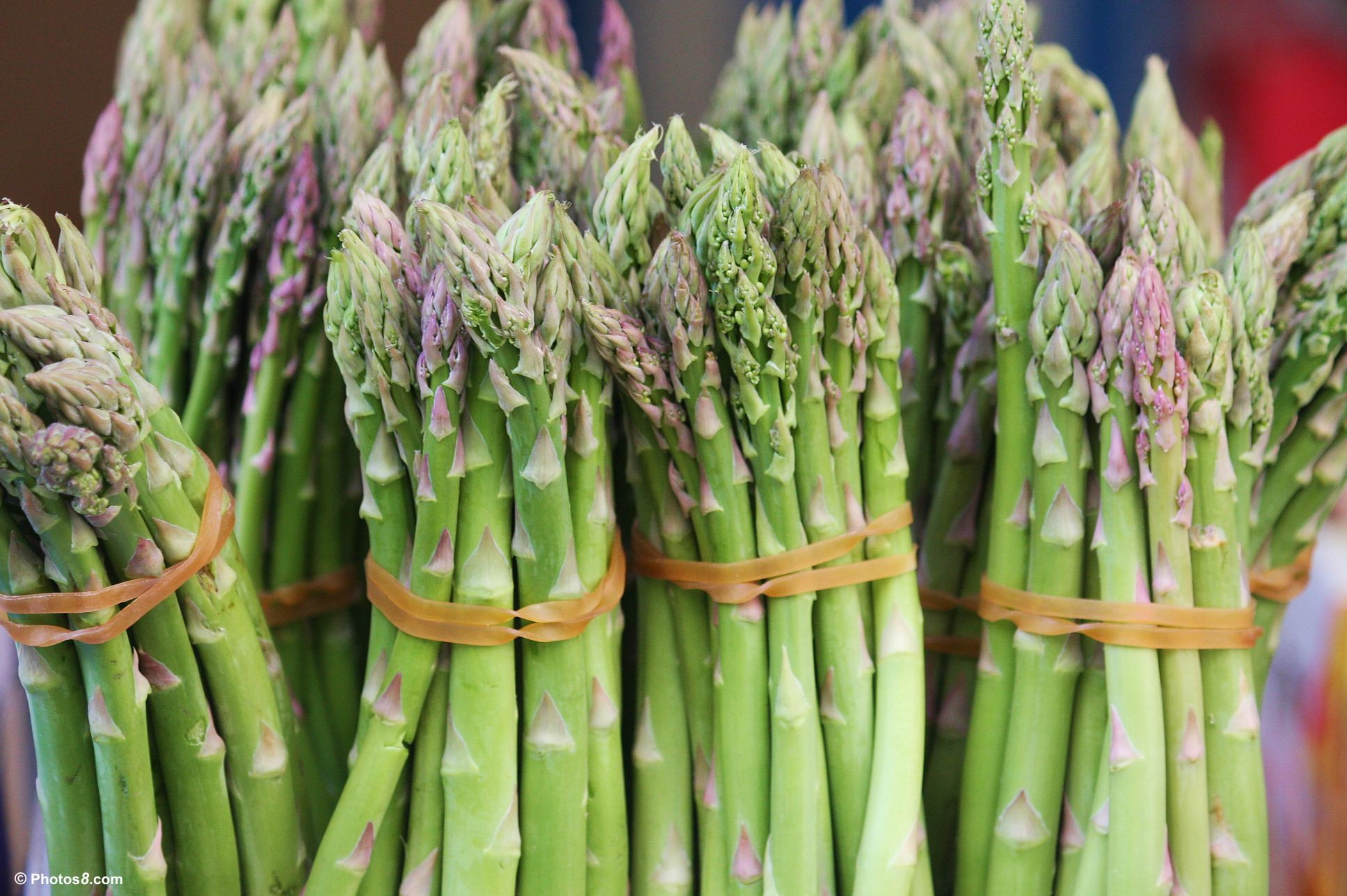 Fiber In Asparagus
 Top 10 Health Benefits of Asparagus