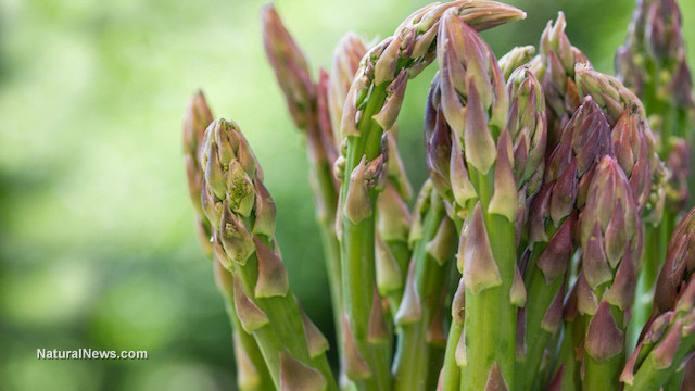 Fiber In Asparagus
 Asparagus can help to lift your spirits and reduce the