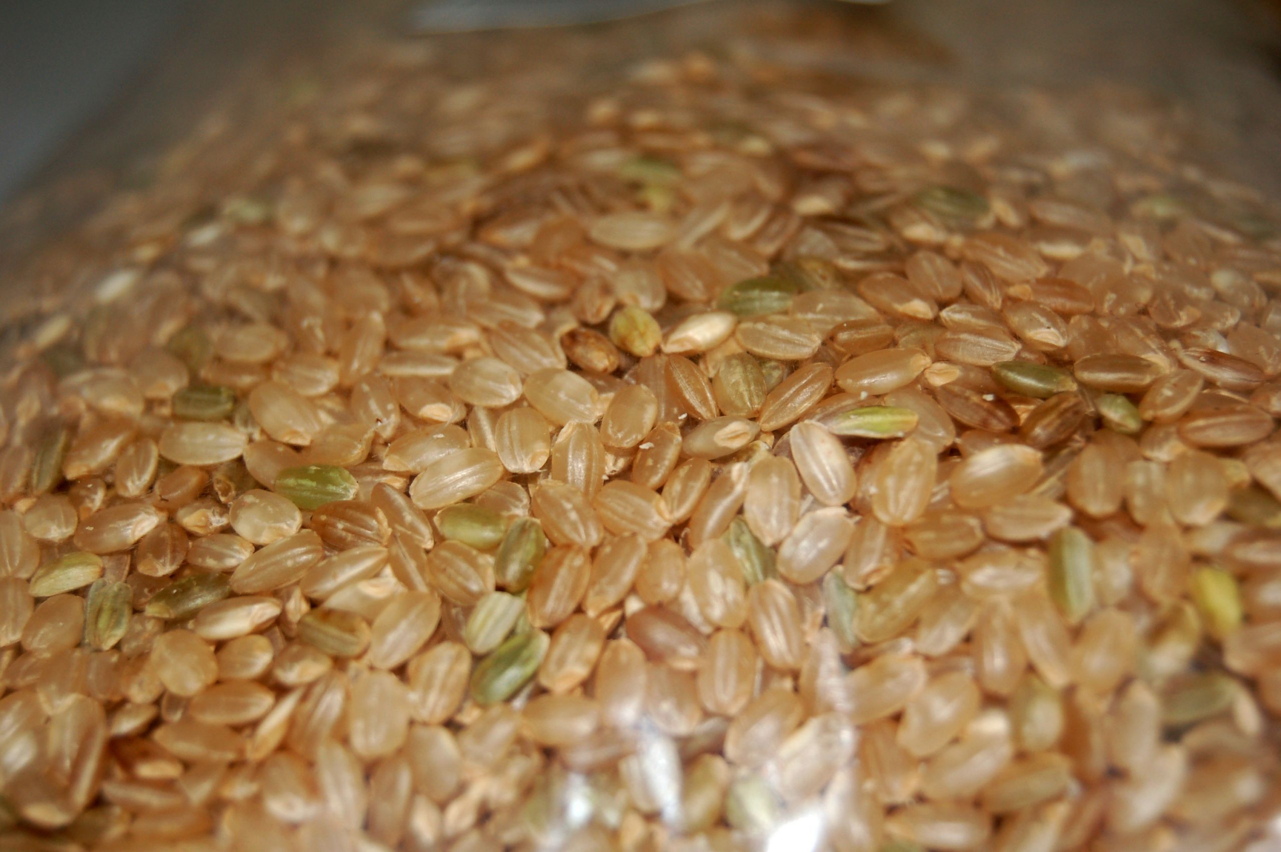 Fiber In Brown Rice
 Top 9 High Fiber Foods to Keep You Healthy