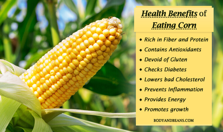 Fiber In Corn
 Health Benefits of Corn Rich in Fiber Protein and