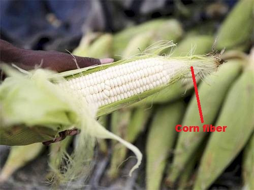 Fiber In Corn
 Corn Fiber A New Fiber on Horizon Part 3 Textile Learner
