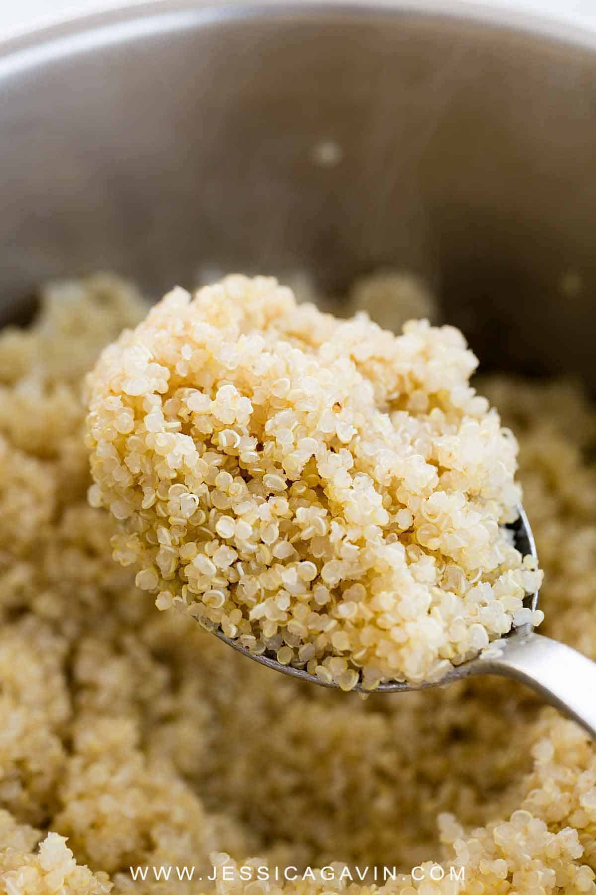 Fiber In Quinoa
 How to Cook Quinoa on the Stove Top Jessica Gavin