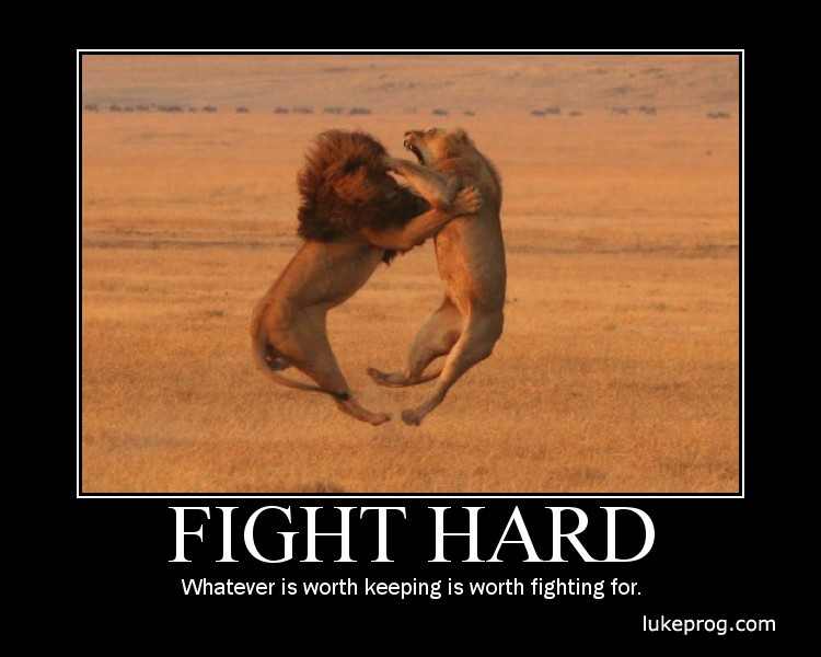 Fighter Motivational Quotes
 06 10 14
