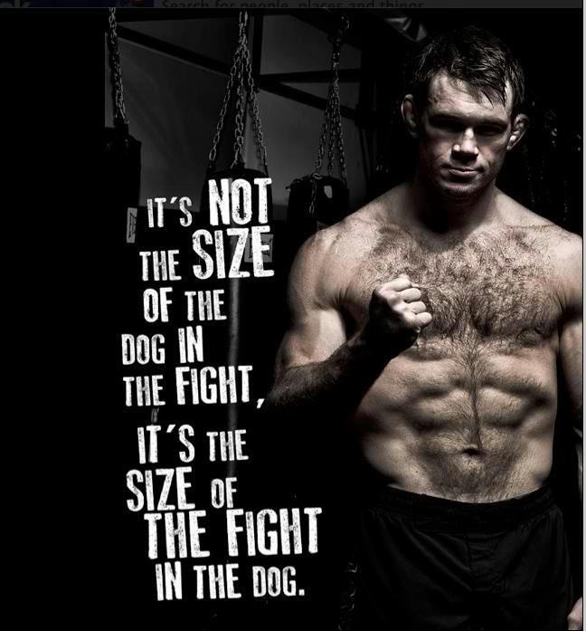 Fighter Motivational Quotes
 Ufc Boxing Quotes QuotesGram