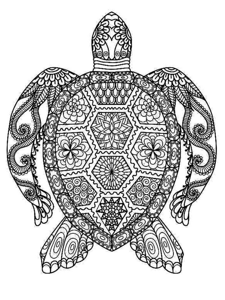 Free Printable Mandala Coloring Pages Adults
 Turtle Mandala crafts
