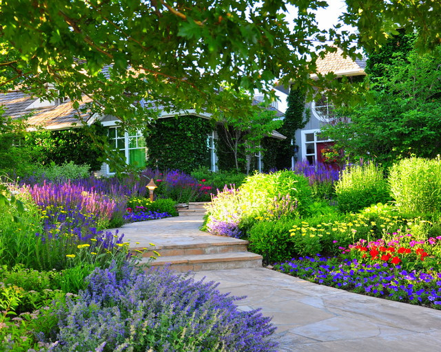 Front Yard Landscape Design Ideas
 Front Yard Renovation Traditional Landscape Denver