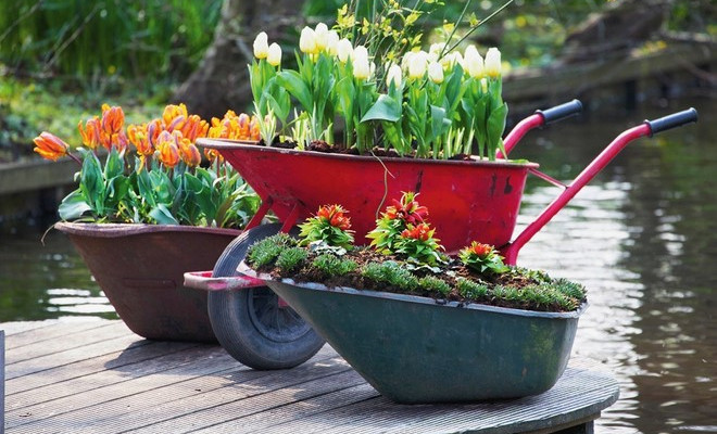 Garden Decor DIY
 12 ideas for cheap and simple homemade garden decorations