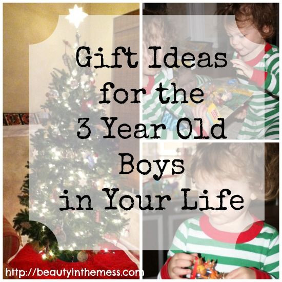 Gift Ideas For 3 Year Old Boys
 Gift Ideas for a 3 Year Old Boy