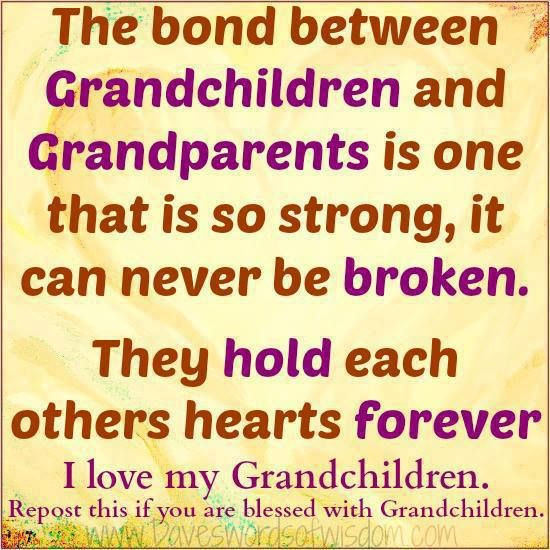 Grandmother And Granddaughter Bond Quotes
 The bond between Grandchildren