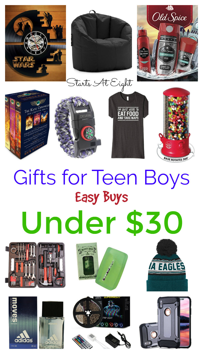 Great Gift Ideas For Teen Boys
 Gifts for Teen Boys Easy Buys Under $30 StartsAtEight