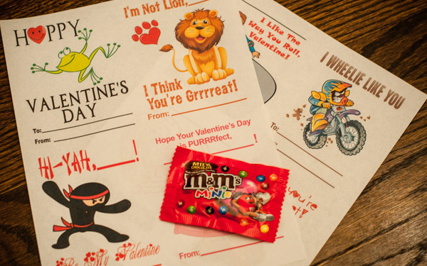 Great Valentine'S Day Gift Ideas
 Best Group Gift Ideas For Teacher Valentines or Teacher