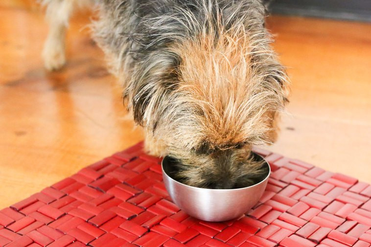 Ground Beef For Dogs
 How to Prepare Ground Beef for Dogs