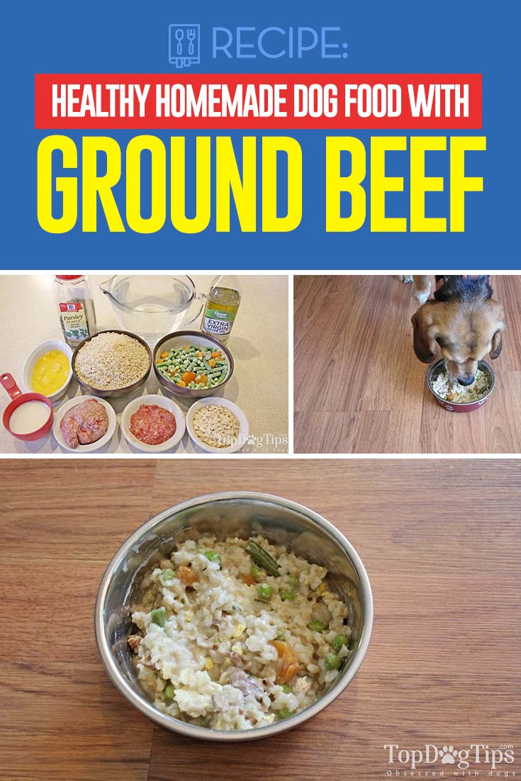 Ground Beef For Dogs
 Healthiest Homemade Dog Food with Ground Beef Recipe