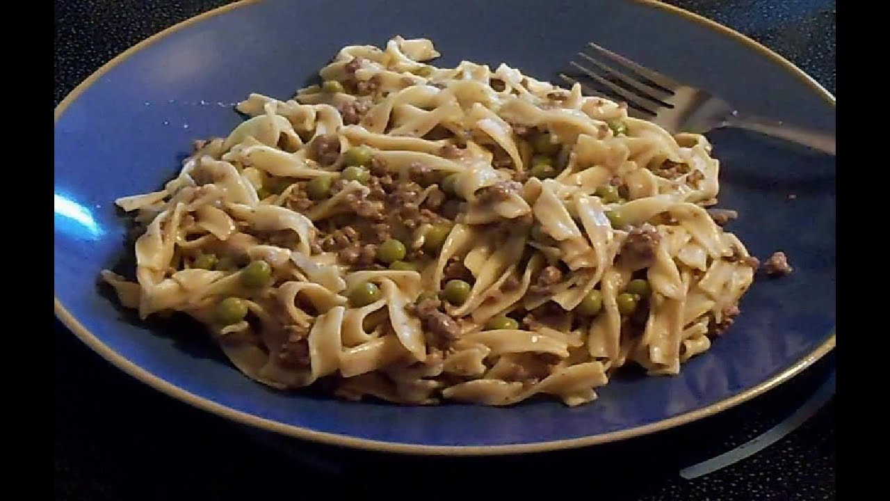 Ground Beef Noodle Recipe
 Ground Beef Gravy and Noodles E53