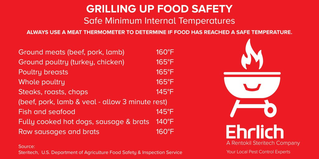Ground Turkey Internal Temp
 Grilling Safety At Your Holiday Cookout deBugged