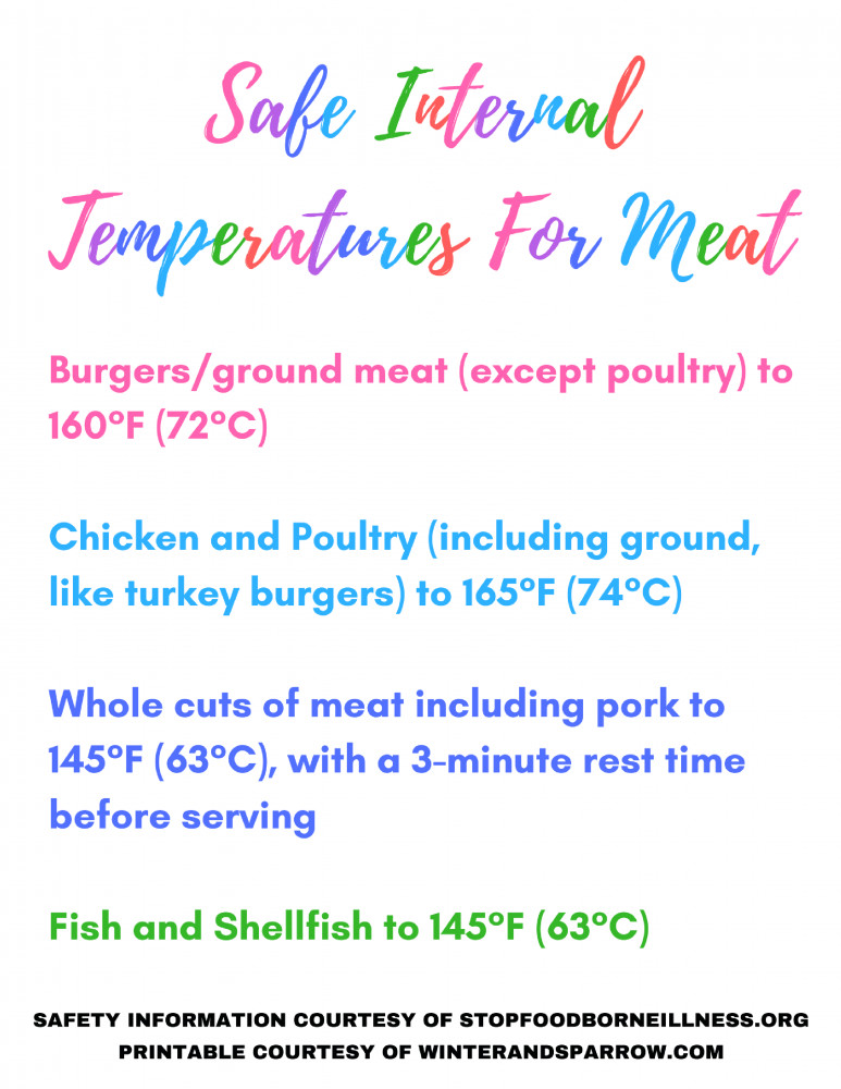Ground Turkey Internal Temp
 Food Safety Tips For Barbecue Season Plus Free Meat