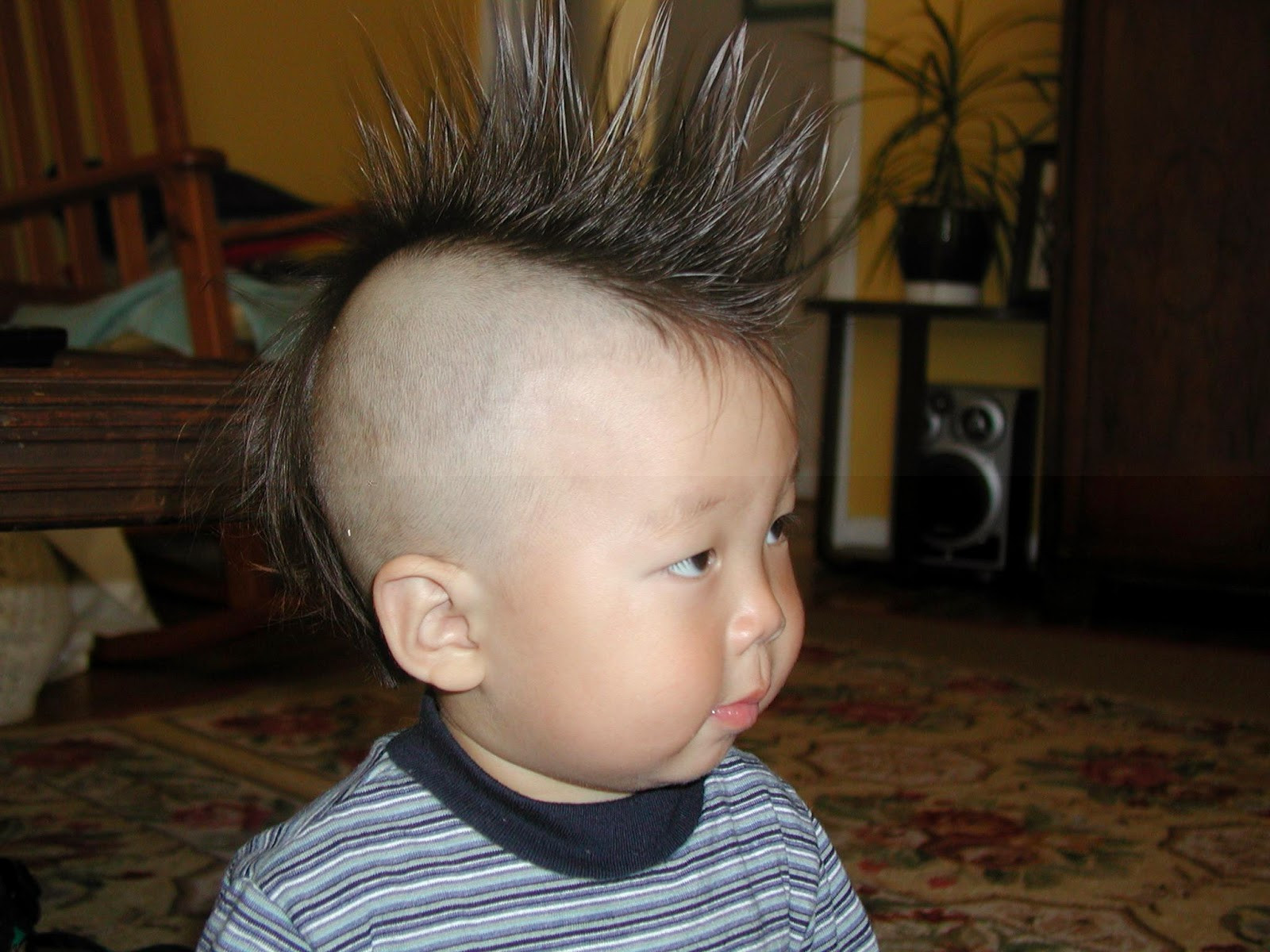 Haircuts Styles For Kids Boys
 Kids Hairstyle Amazing & Trendy Hairstyles for Boys