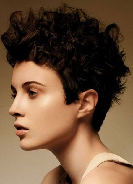 Hairstyles For Really Curly Hair
 Short Haircuts For Curly Hair