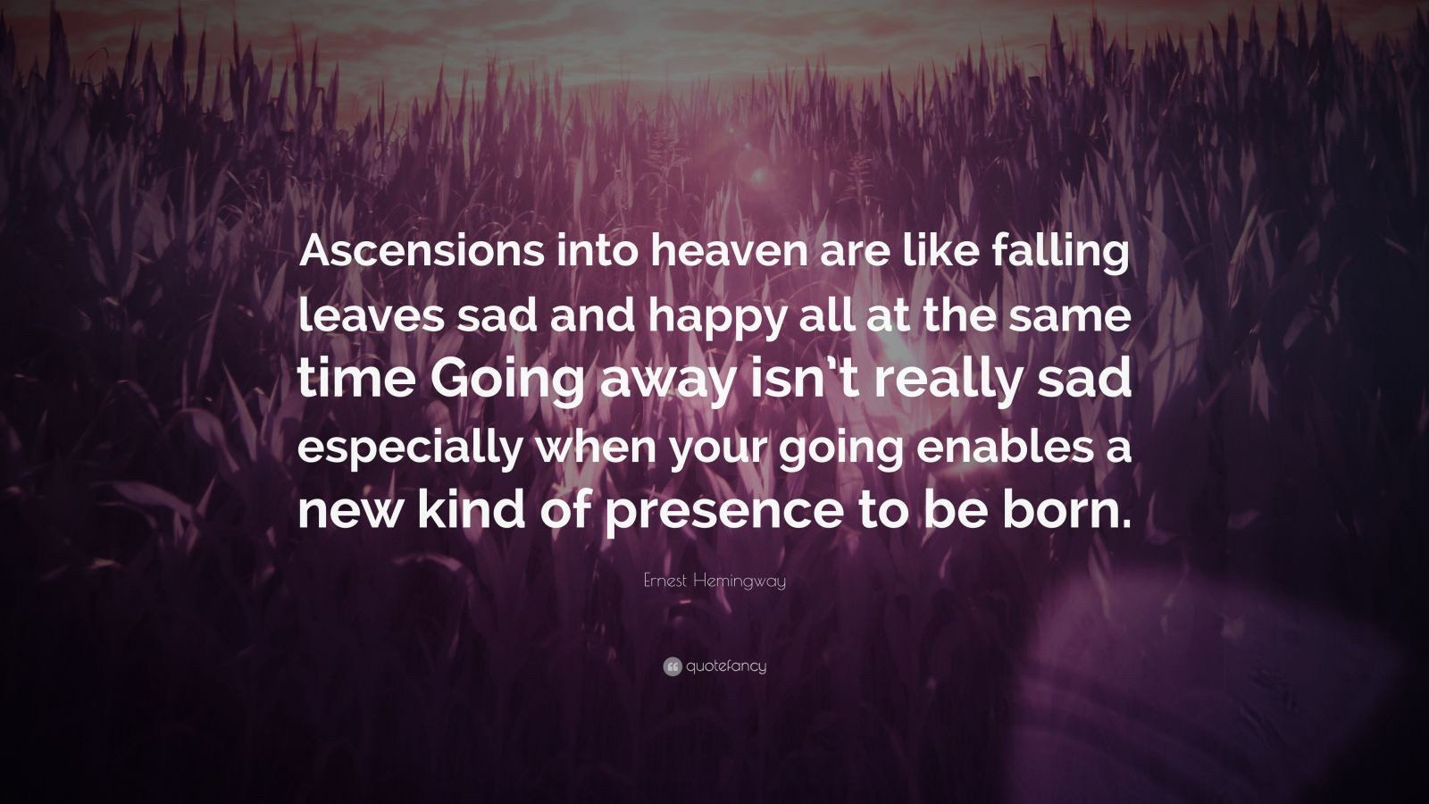 Happy And Sad At The Same Time Quotes
 Ernest Hemingway Quote “Ascensions into heaven are like