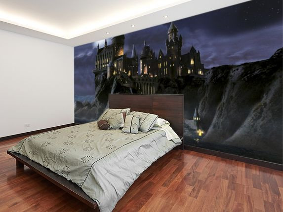 Harry Potter Bedroom Wallpaper
 First time to Hogwarts Harry Potter Wall Mural