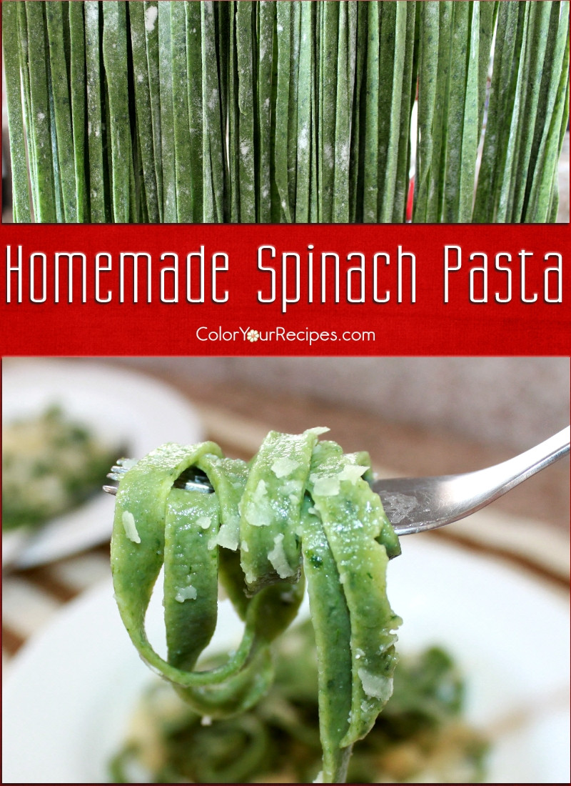 Homemade Spinach Pasta
 Homemade Spinach Pasta Recipe • Color Your Recipes