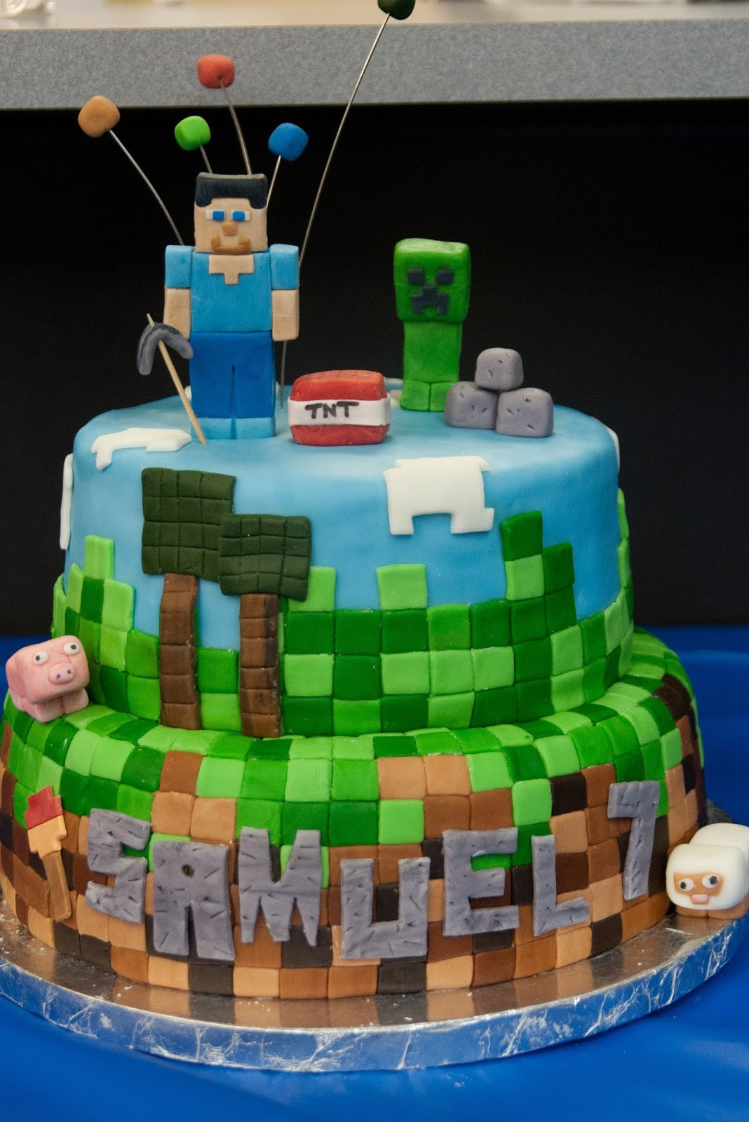 How To Make A Minecraft Birthday Cake
 Pink Bluebonnet Minecraft Cake
