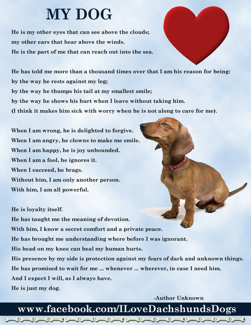 I Love My Dog Quotes Sayings
 I Miss My Dog Quotes QuotesGram