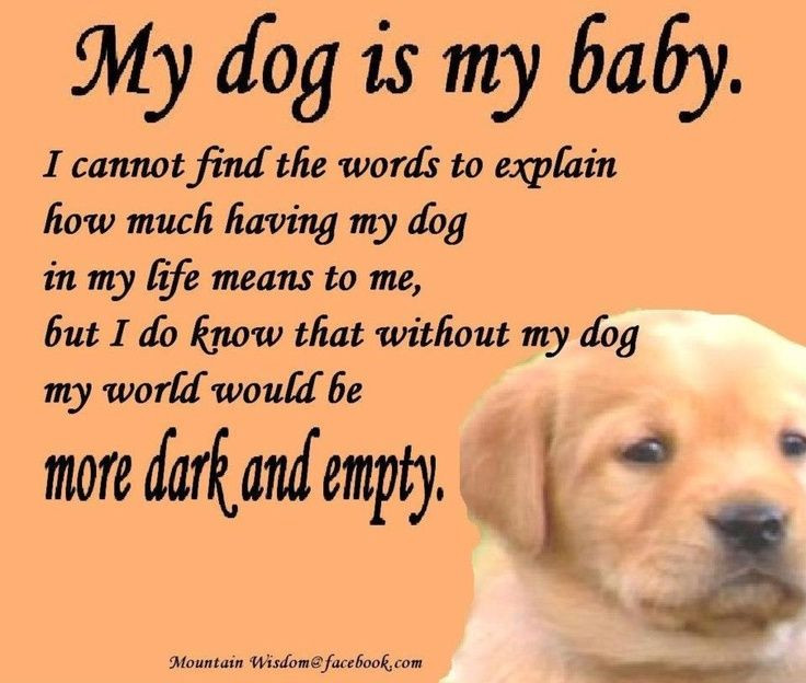 I Love My Dog Quotes Sayings
 DOG LOVER QUOTES PINTEREST image quotes at relatably