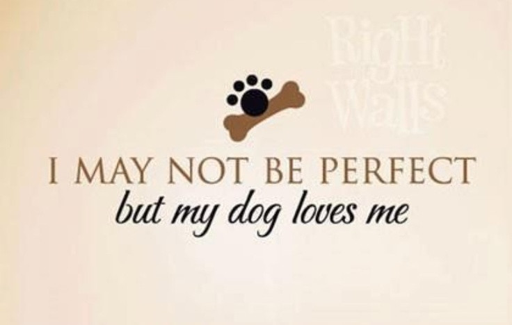 I Love My Dog Quotes Sayings
 I Love My Dog Quotes QuotesGram